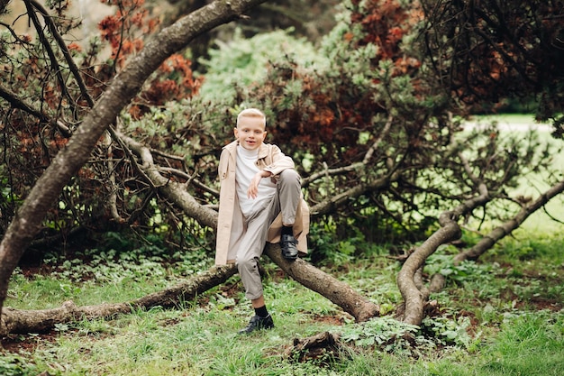 Free Photo stylish boy in a coat in autumn in the park autumn forest