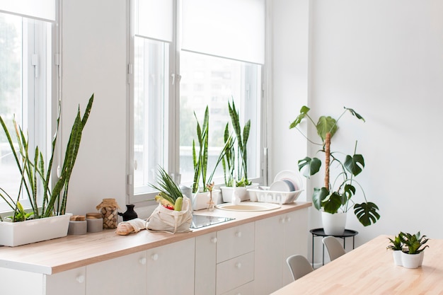 Free photo stylish minimalistic kitchen with plants