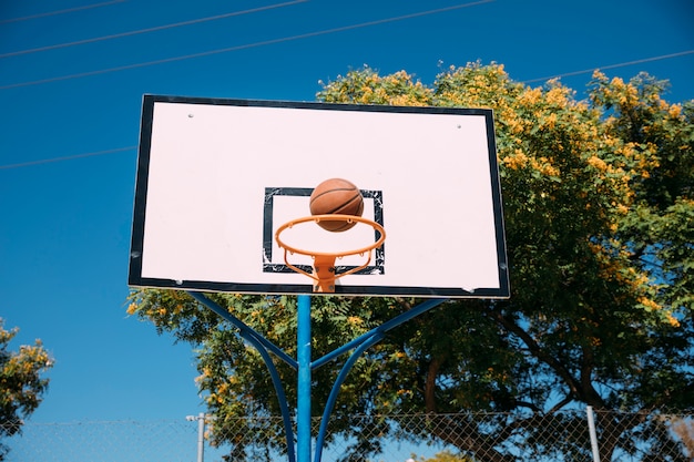 Free photo successful basketball hoop shoot