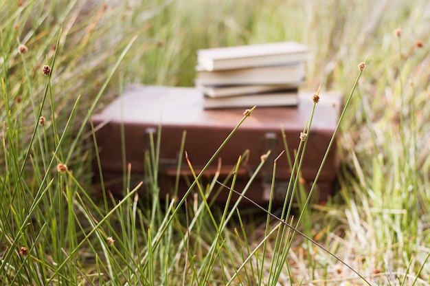 Free photo suitcase with books on top