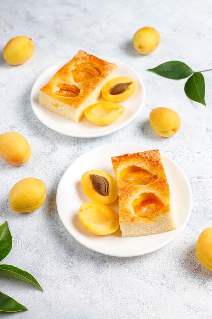 Summer apricot pie with fresh apricots