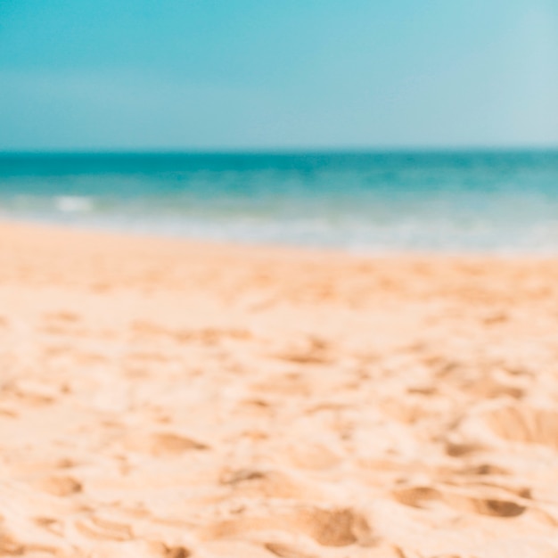 Free photo summer beach bokeh for background