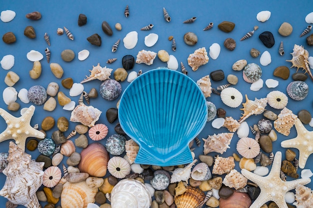 Free photo summer composition with fantastic marine shells and starfish