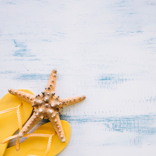 Summer composition with starfish on flip flops