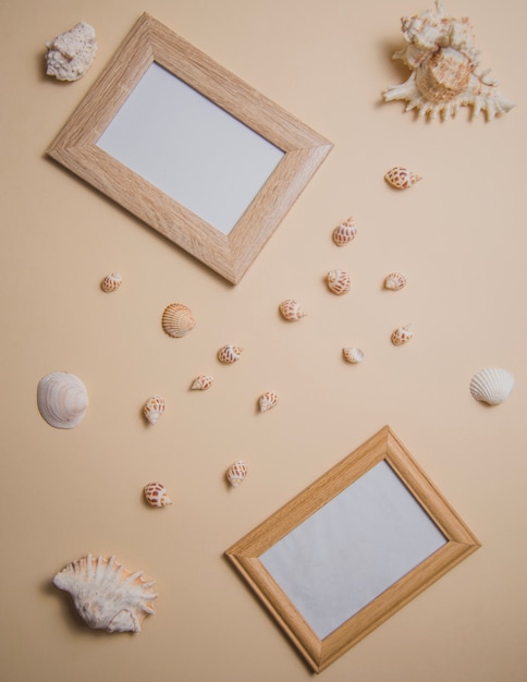 Summer concept with frames and seashells