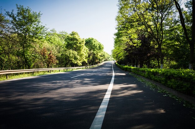 Summer Country Road