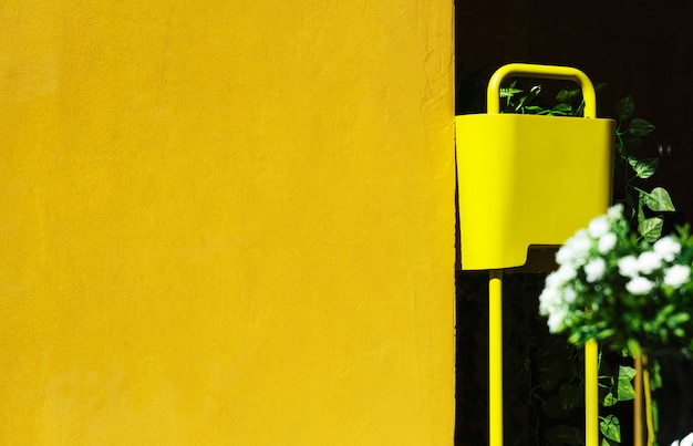 Summer garden with a yellow wall