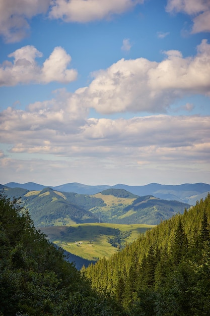 Summer landscape in mountains and the blue sky