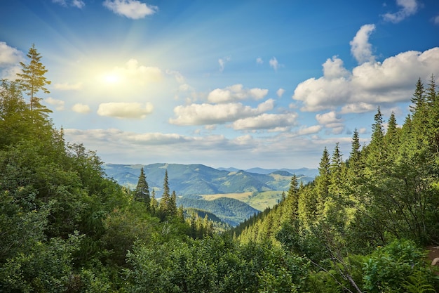 Summer landscape in mountains and the blue sky