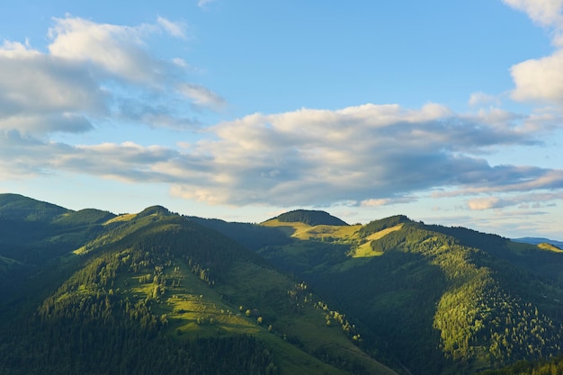 Summer landscape in mountains and the blue sky