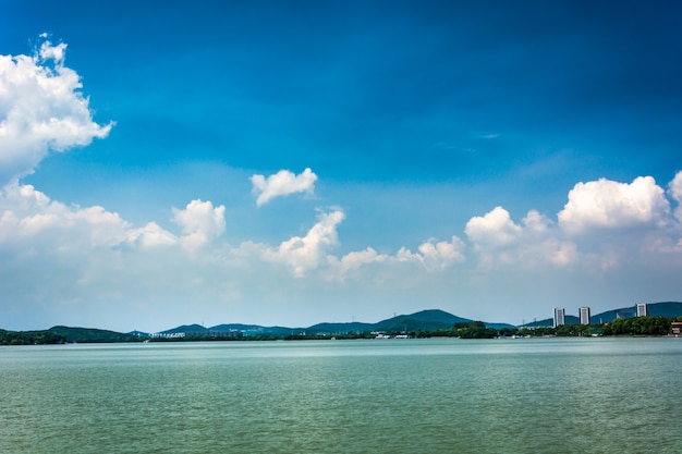 Free photo summer landscape with lake at sunny day