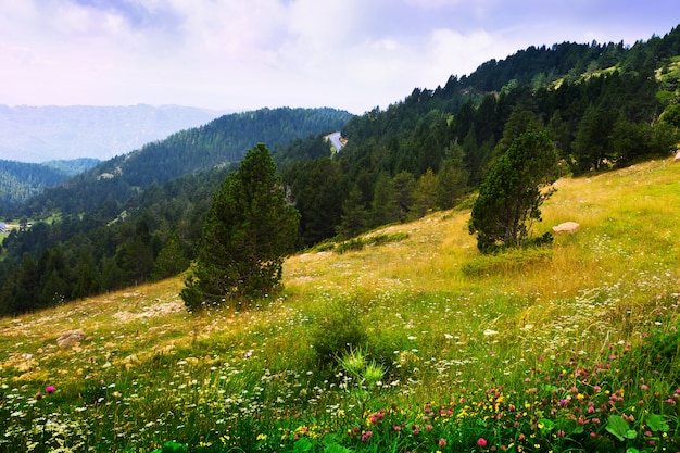 Free Photo summer landscape with mountainous meadow. pyrenees 