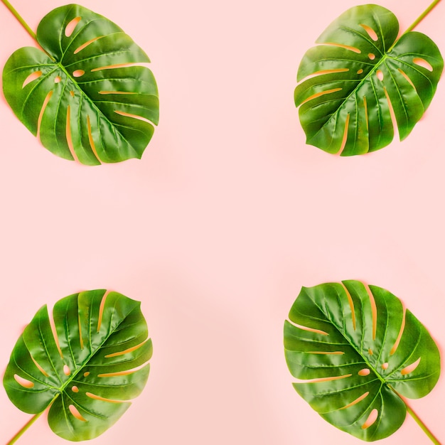 Free photo summer palm leaves on light pink background