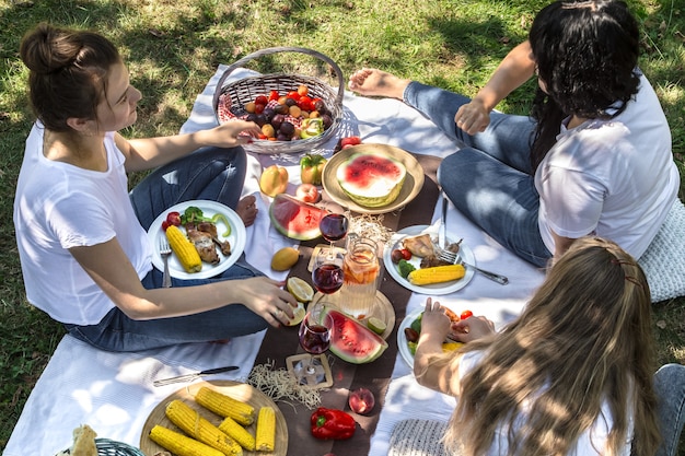 Summer picnic with friends in nature with food and drinks.