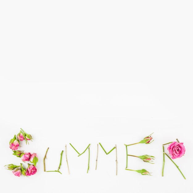 Summer text made with pink roses and stem on white background