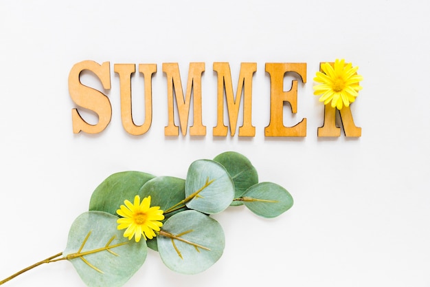 Free Photo summer text with yellow flower