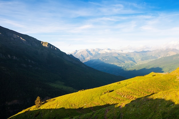 Summer view of highland meadow at Pyrenees