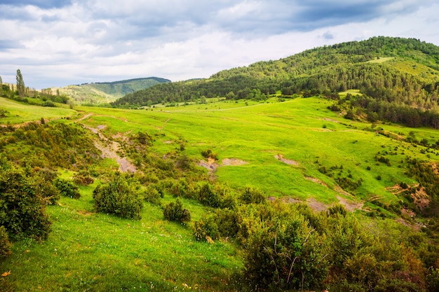 Summer view of mountain pass