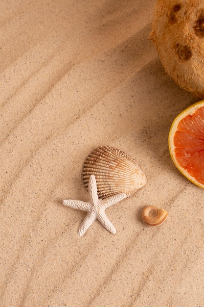 Free photo summertime vibes with coconut and grapefruit