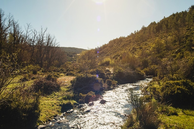 Free photo sun shining on small river