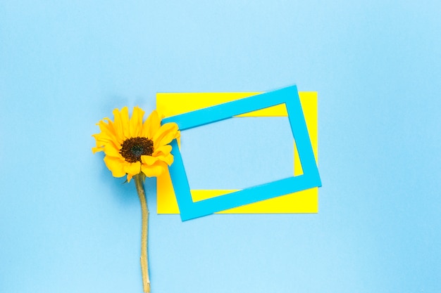 Free photo sunflower and frames