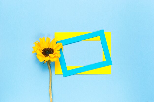 Sunflower and frames