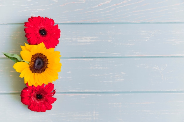 Sunflower and gerbera flowers on grunge table top