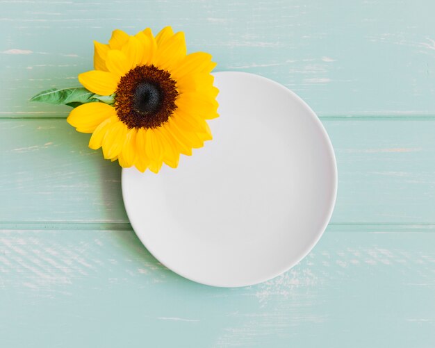 Sunflower on plate