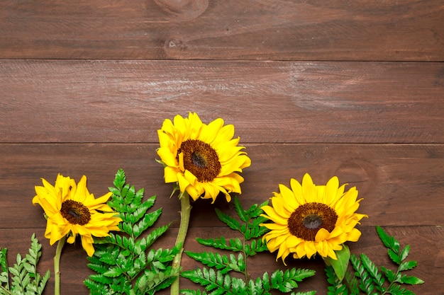 Free photo sunflowers and fern leaves on wooden background