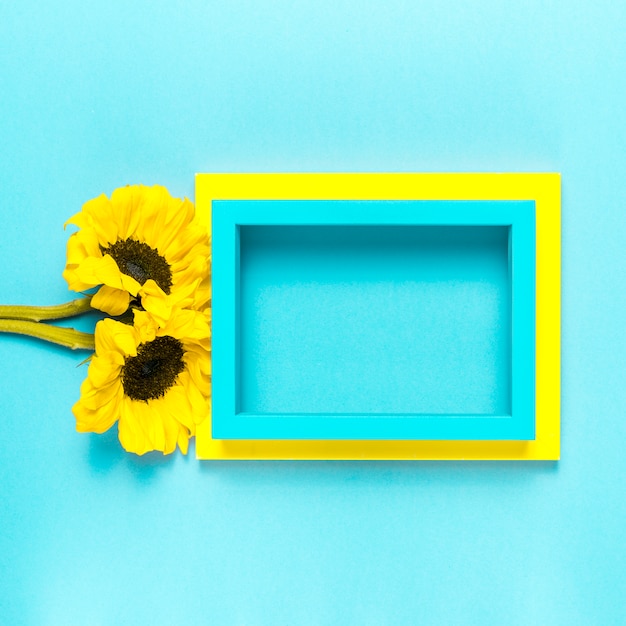 Free Photo sunflowers and frame