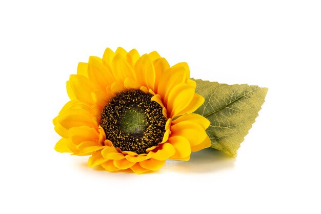 Sunflowers isolated on white background