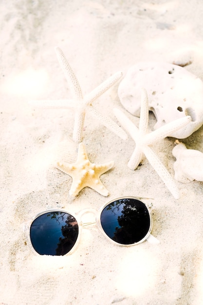 Free photo sunglasses with starfish and coral on beach