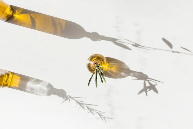 Free Photo sunlight falling on the olive oil bottles on white backdrop