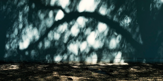 Free Photo sunlight shade on concrete wall at the park