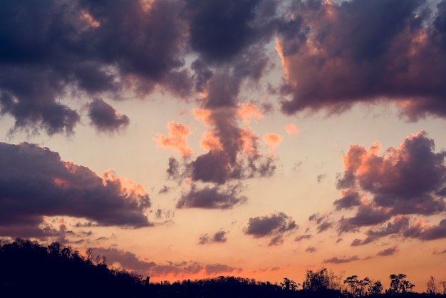 Free Photo sunlight with cloudy blue sky beauytiful scene