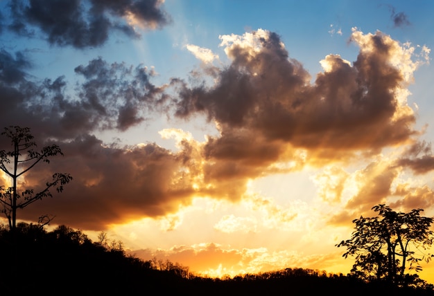 Sunlight with Cloudy Blue Sky Beauytiful Scene