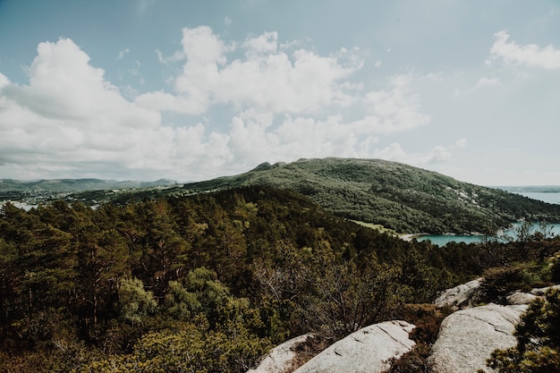 Free Photo sunny landscape of a mountain