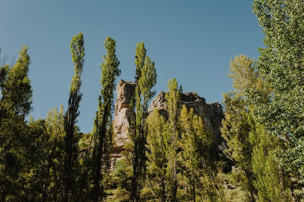 Free Photo sunny rocky landscape with vegetation