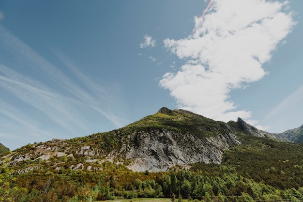 Free photo sunny rocky landscape with vegetation