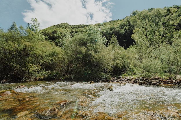 Sunny rocky landscape with vegetation