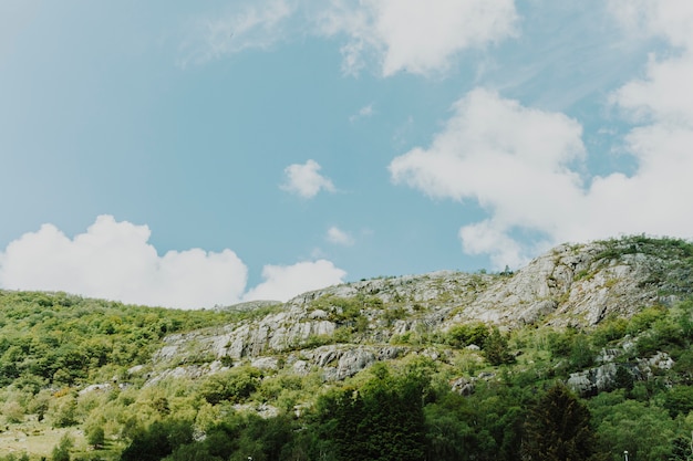 Free Photo sunny rocky landscape with vegetation