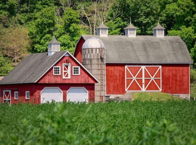 Free Photo sunny scenery of a farm territory with two barns