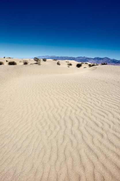 Sunny scenery of the Mesquite Flat Sand Dunes in Death Valley National Park, California - USA