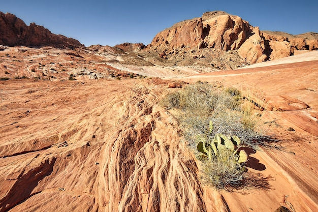 Sunny scenery of the Valley of Fire State Park in Nevada, USA