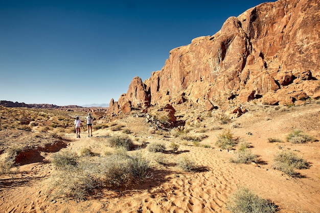 Free photo sunny scenery of the valley of fire state park in nevada, usa