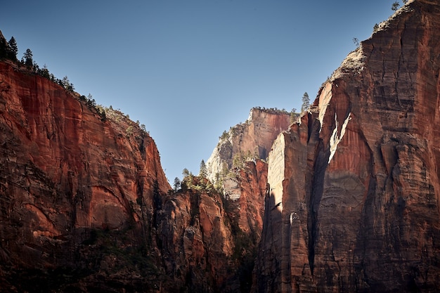 Free photo sunny scenery of the zion national park located in utah, usa