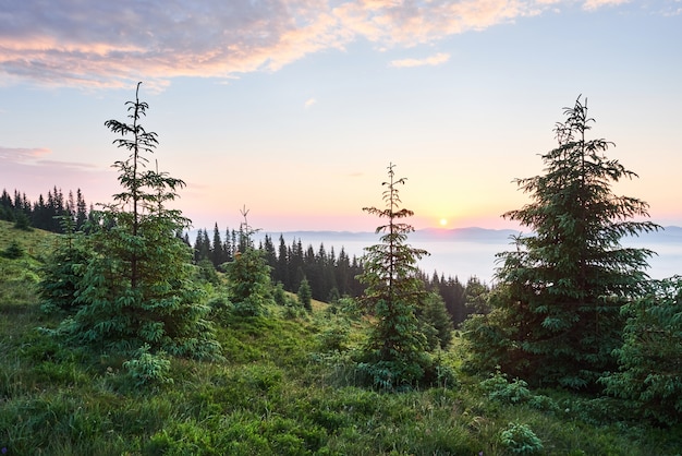 Free photo sunset in the mountains landscape. dramatic sky. carpathian of ukraine europe.