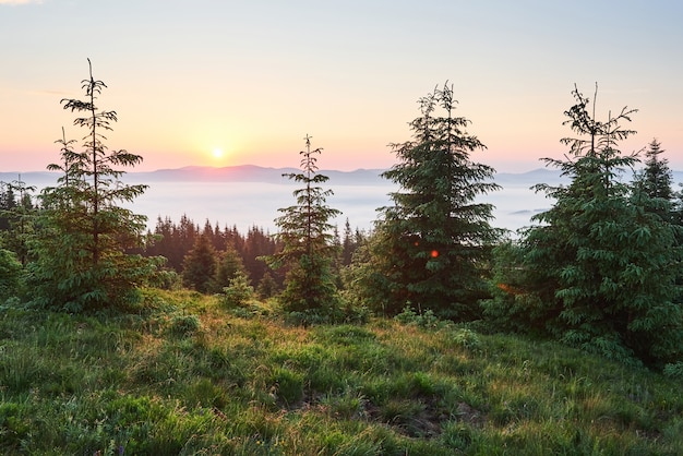 Sunset in the mountains landscape. Dramatic sky. Carpathian of Ukraine Europe.