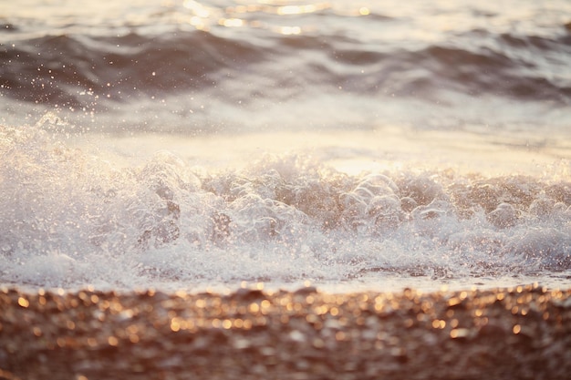 sunset on the sea beach