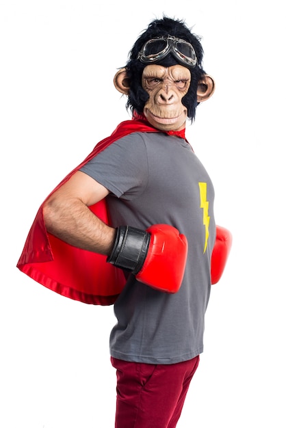 Free photo superhero monkey man